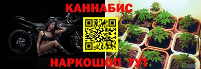 дмт Старая Купавна