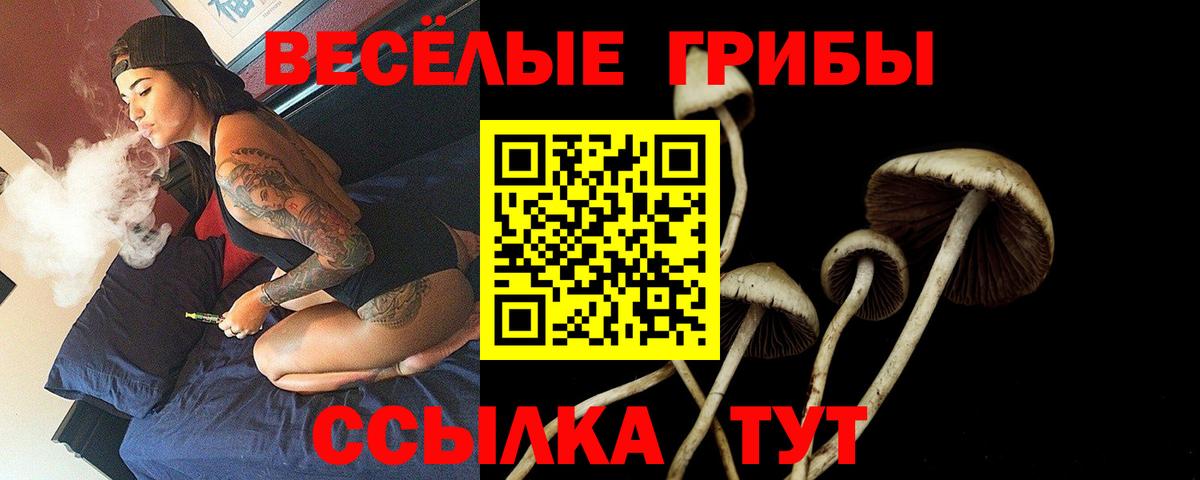 Кокаин  Похвистнево  МДМА  Меф МЯУ МЯУ   Гашиш  Конопля  МАРИХУАНА  Вход с VPN  ЭКСТАЗИ 
